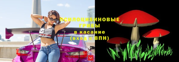 мдпв Богородицк