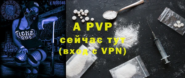 мдпв Богородицк