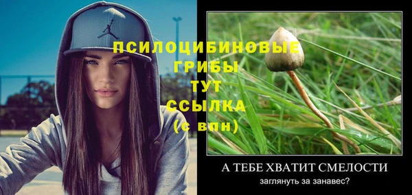 мдпв Богородицк
