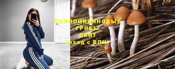 бутират Богородск